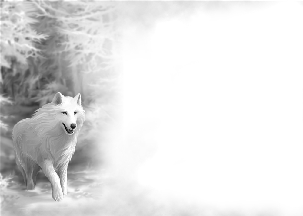 (image for) Blank Cards - Aura Wolf - 6 Pack