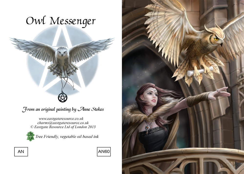 (image for) Blank Cards - Owl Messenger - 6 Pack