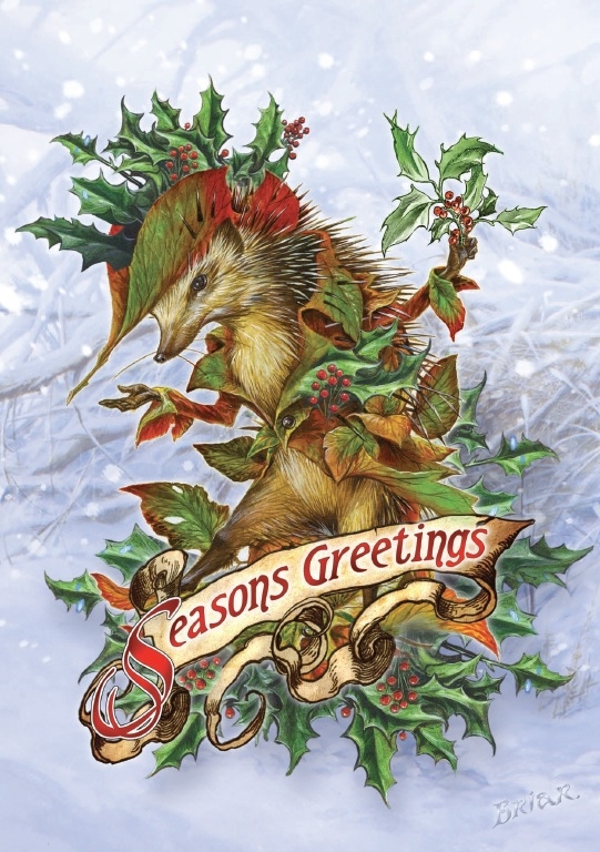 (image for) Yule Card - Mr. Hedgely's Yuletide Coat - 6 Pack