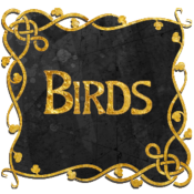 (image for) Birds